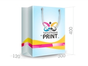 заказать печать Бумажный пакет тираж 200 штук вертикальный А3 формата , размер 300x400x120 мм, бумага 200 г/м² + с ламинацией, установка люверсов и ручки-шнурка