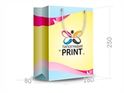 заказать печать Бумажный пакет тираж 500 штук вертикальный А5 формата , размер 200x260x80 мм, бумага 200 г/м² + с ламинацией, установка люверсов и ручки-шнурка